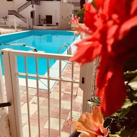 Cozy Apartament On First Line Of Ocean In Tenerife